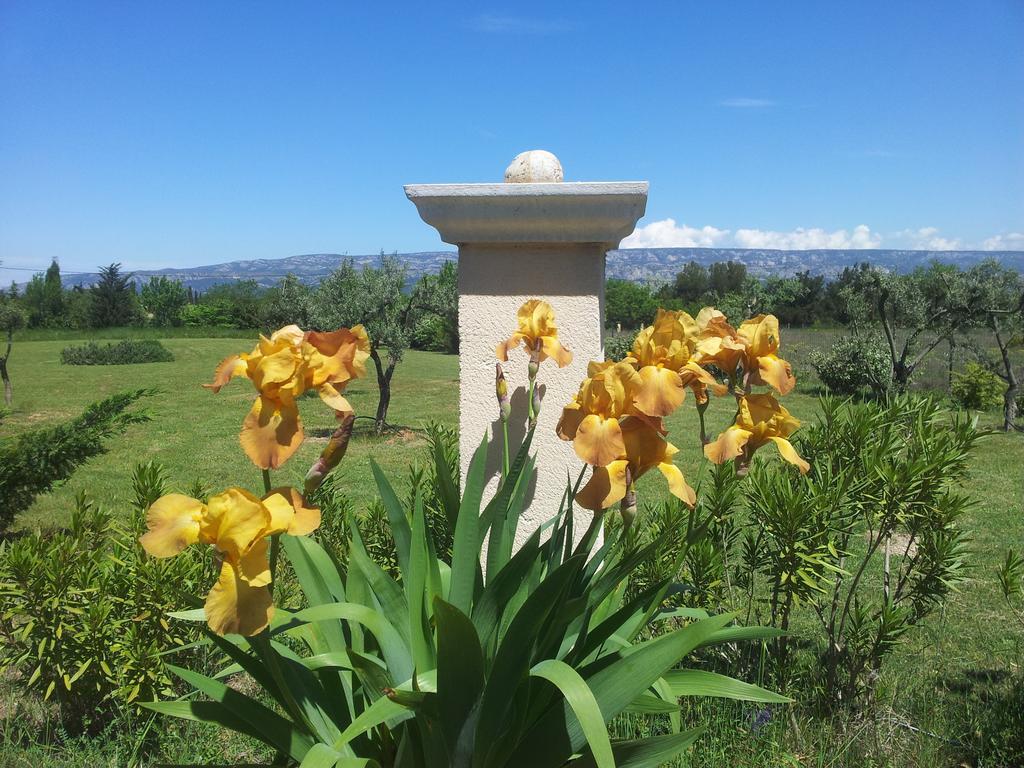 Lamanderie En Provence Alleins Ngoại thất bức ảnh